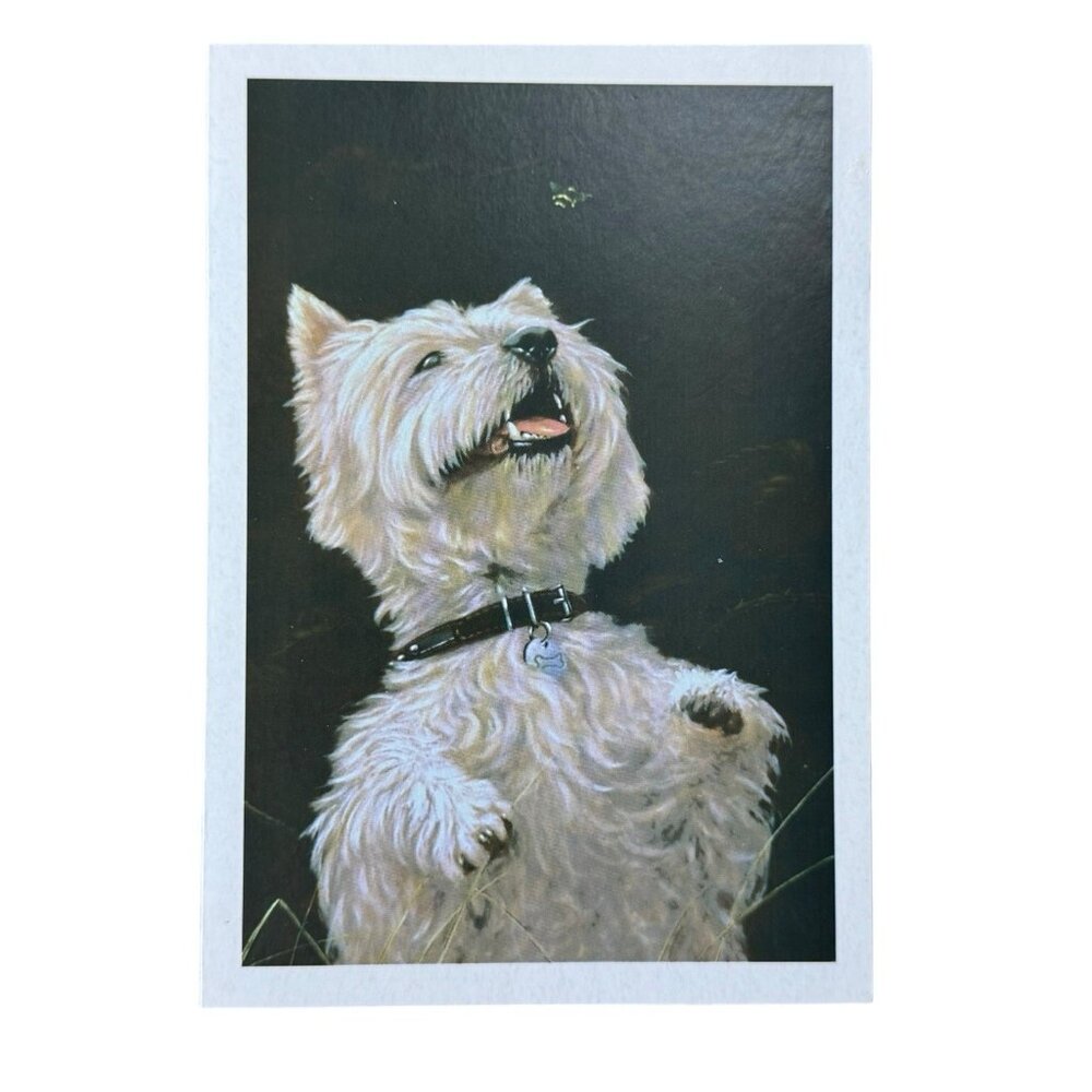 SCOTTISH TERRIER The Humane Society Greeting Card Blank 2021 Vintage Check Pics